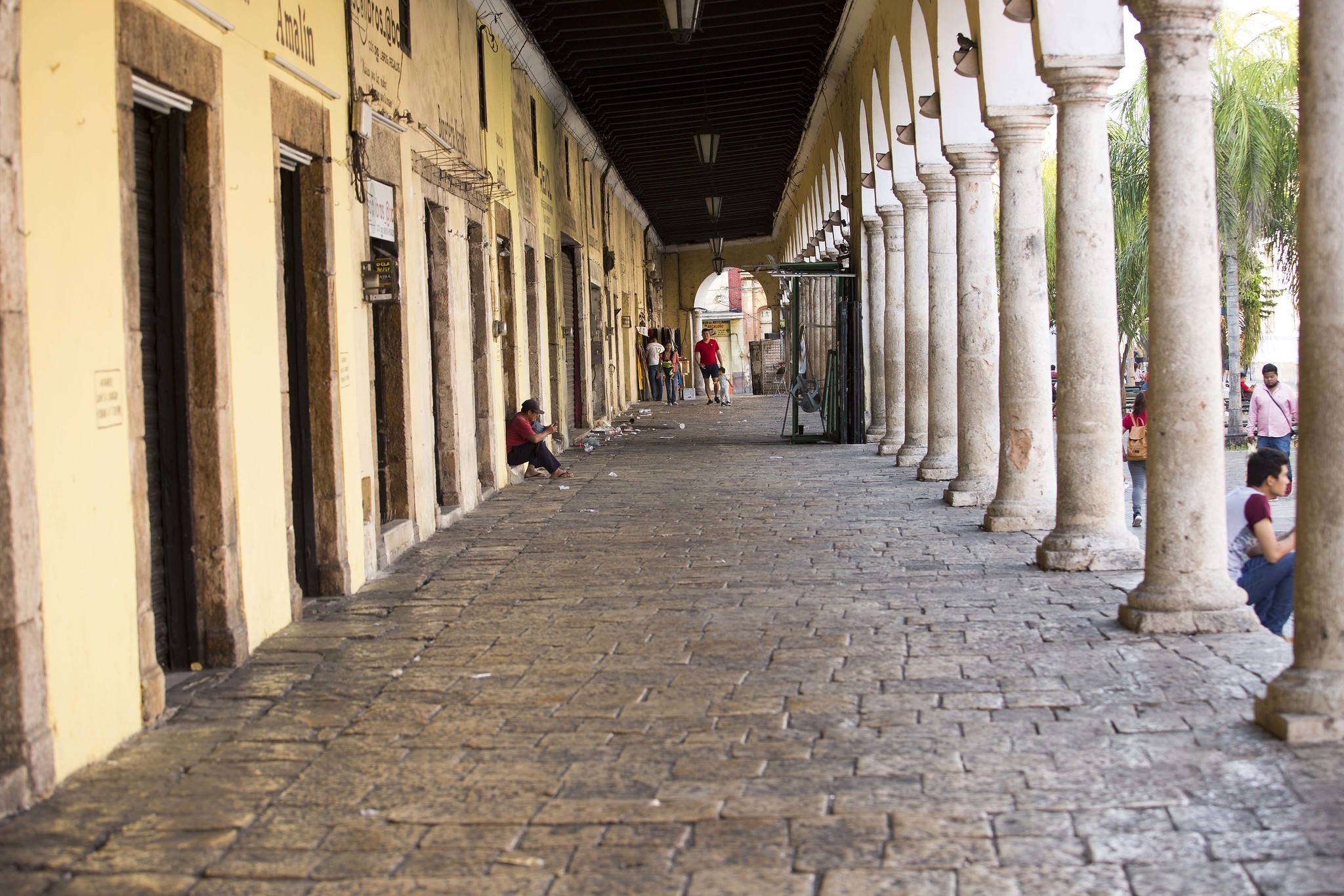 Recuperación económica sería hasta 2022: académico de la UADY